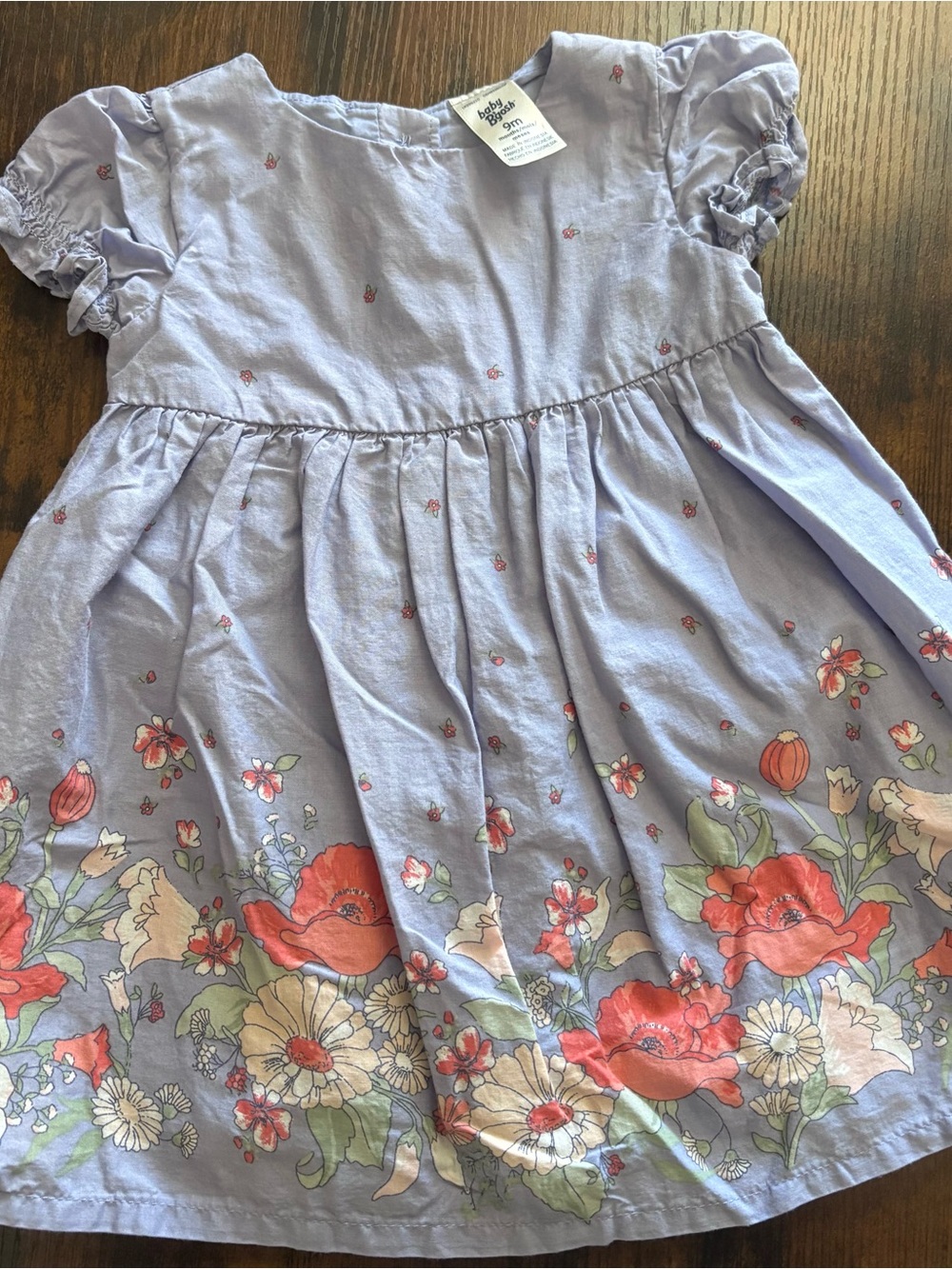 Baby B’Gosh Lavender bluish Dress with Coral Floral Border